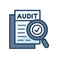 audit icon